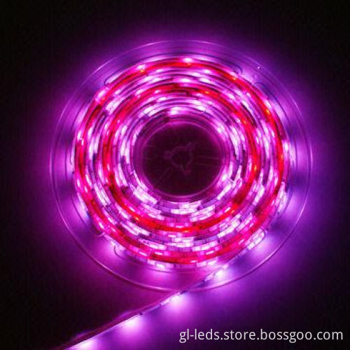 Option LED Flexible Strip Light, IP20/IP67